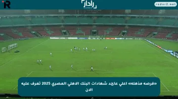 «فرصة مذهلة» أعلى عائد شهادات البنك الأهلي المصري 2025 تعرف عليه الآن